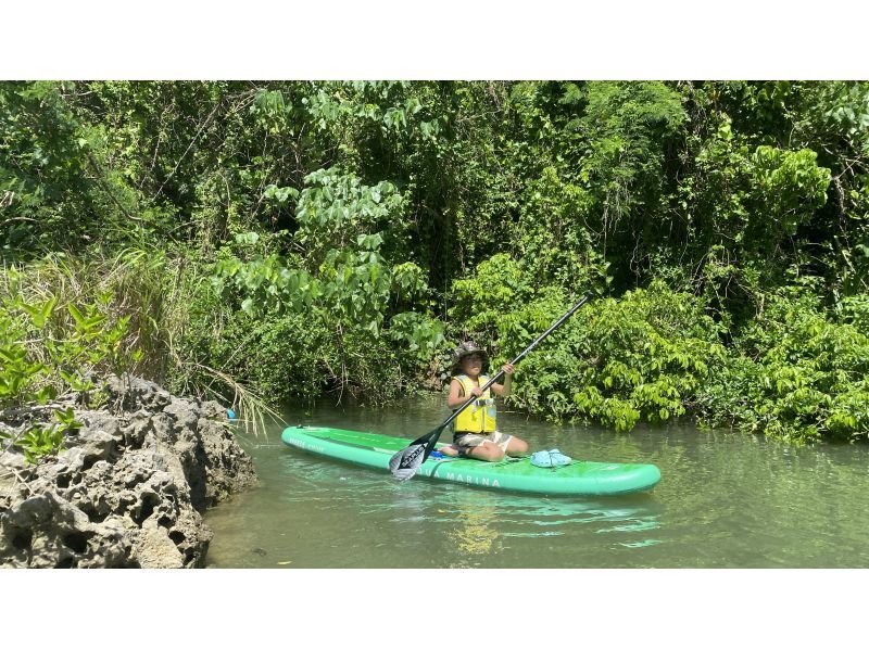 [Family Discount]《Mangrove SUP》Free plan for 1 child★Participation is OK from 10 years old★Free rental items are available in many sizes for children!の紹介画像
