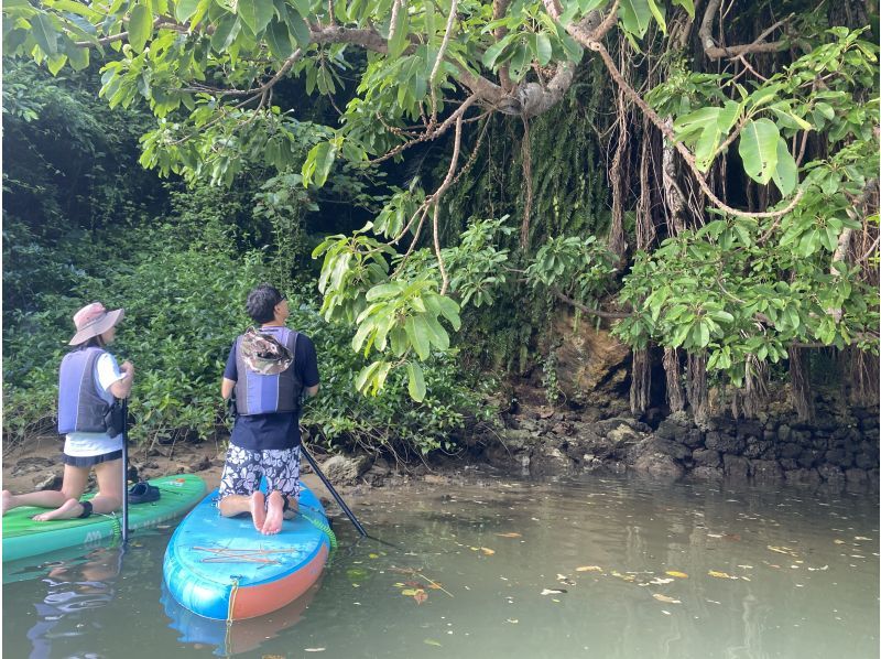 [Family Discount]《Mangrove SUP》Free plan for 1 child★Participation is OK from 10 years old★Free rental items are available in many sizes for children!の紹介画像
