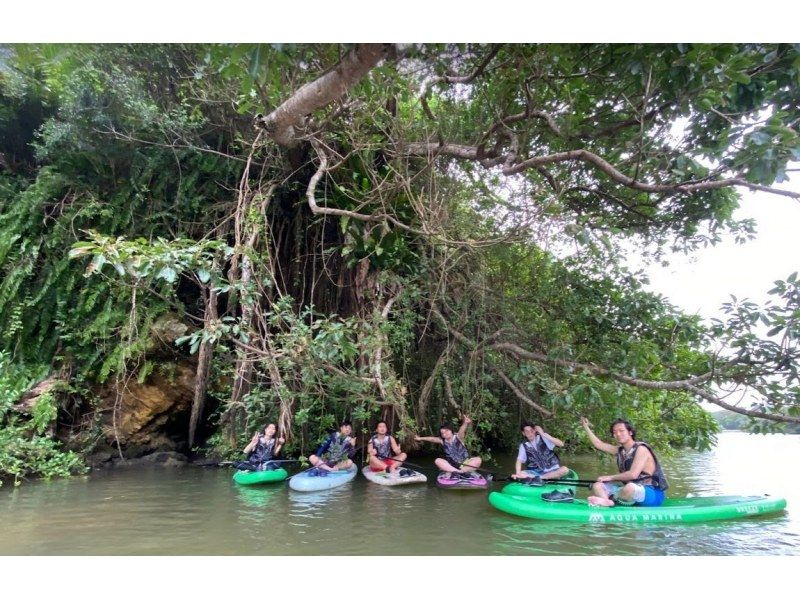 促销《Mangrove SUP》当天接受预订 ★ 课程全面，即使初学者也很安全 ★ 在新设施中度过舒适的时光！配备热水淋浴和吹风机★免费照片数据の紹介画像