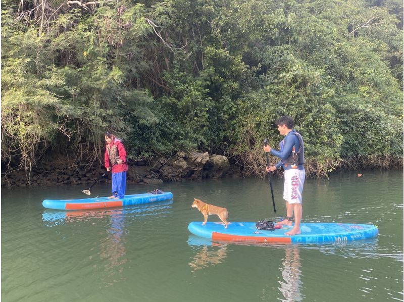 SALE《Mangrove SUP》Reservations accepted on the day★Solid lessons, safe even for beginners★Comfortable time with new facilities! Hot showers and hair dryers available★Free photo dataの紹介画像