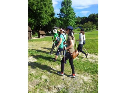 7月 ９月サマー期間限定 中学生以上 日帰りアドベンチャーキャンプ 日本最大級 六甲山アスレチックパークgreenia 1日券付き アクティビティジャパン