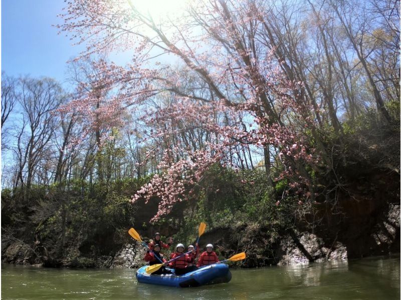 [Hokkaido / Niseko] Rafting! Spring only! Thrilling experience with torrent rafting ♪の紹介画像