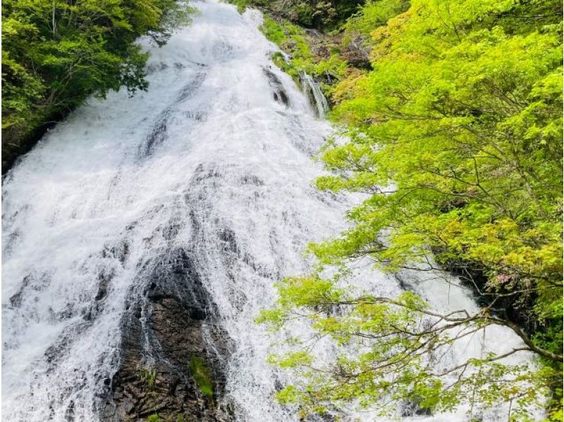 [Tochigi/Nikko] Nature guide Senjogahara hiking 
