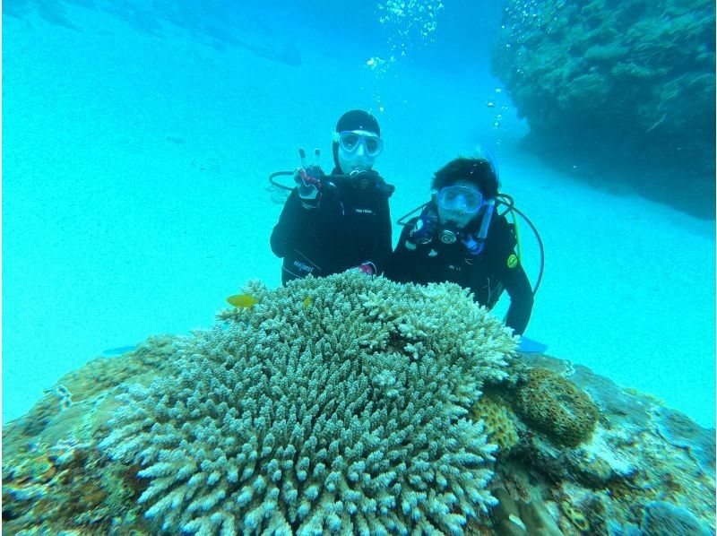 Okinawa Main Island Motobu Town "Experience" Beach Diving From 1 dive | Impressive diving experience surrounded by colorful corals and tropical fish ✨ Any number of photos and videos are free!の紹介画像