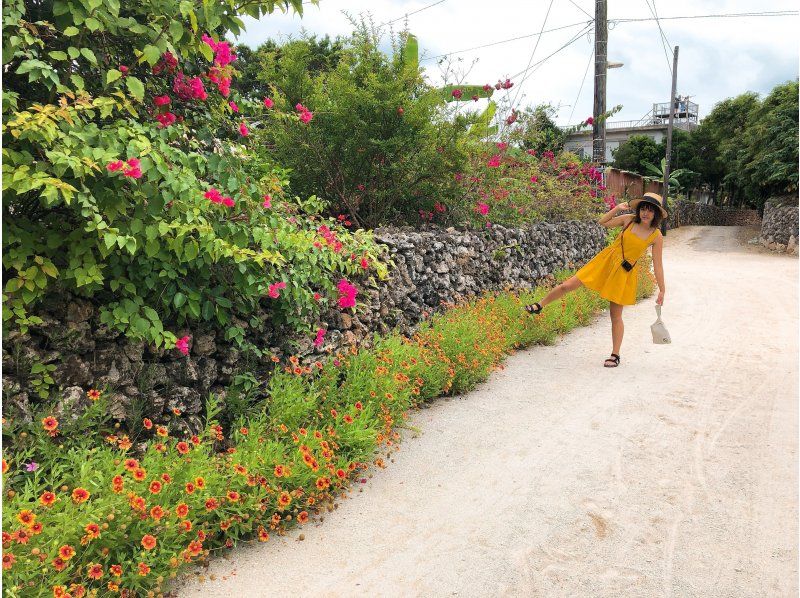 [Ishigaki Island & Taketomi Island / 1 day] Landing on the phantom island & snorkeling & sightseeing on Taketomi Island ★ Enjoy two remote islands for half a day each! Equipment rental / Free photo dataの紹介画像