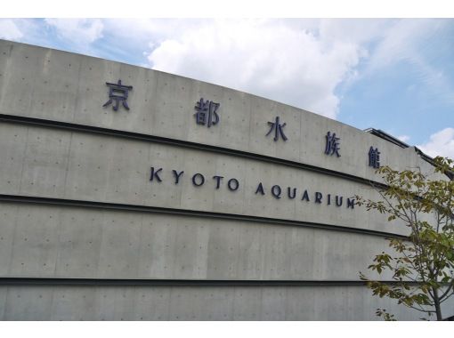 Hisスーパーサマーセール実施中 えいごですいぞくかん Let S Go To 京都水族館 英語で学ぶリアルいきもの図鑑 アクティビティジャパン