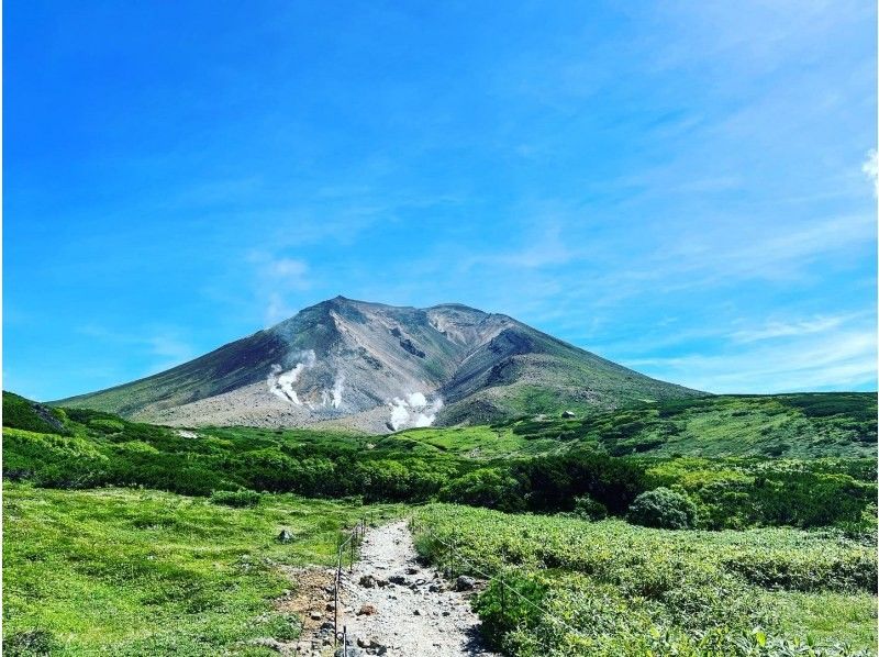 [Hokkaido, Asahidake] One-day flower trekking tour with a professional guide to Susoaidaiの紹介画像