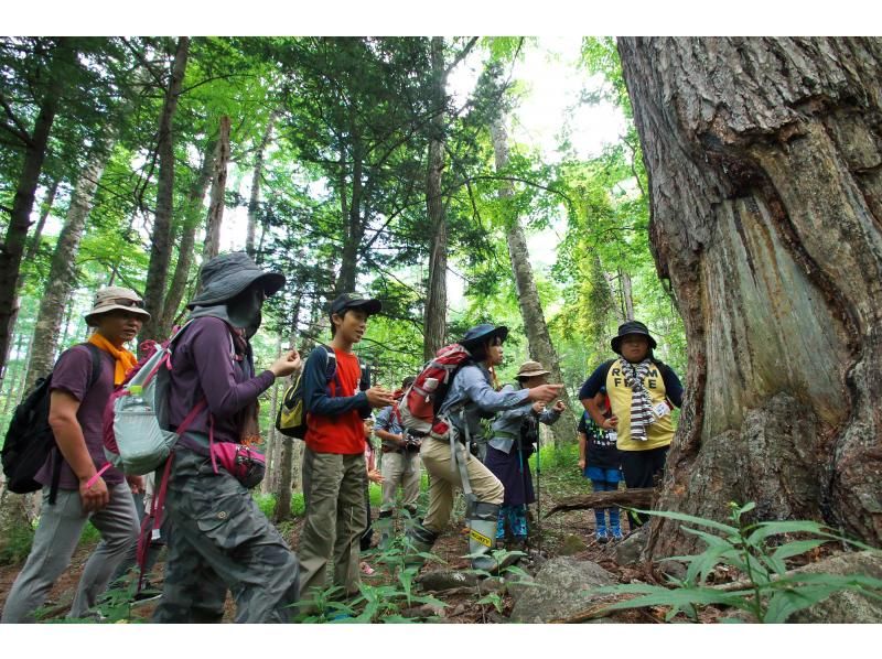 関東　登山初心者におすすめのトレッキング日帰りツアー　栃木　奥日光　赤岩滝ツアー　ネイチャーガイド　秘滝トレッキング　ガイドの説明を聞く子供たち　株式会社日光自然博物館