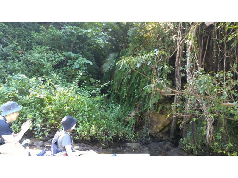 《マングローブカヤック》雨天催行！当日予約OK★初心者でも安心！新施設で快適時間！温水シャワー、ドライヤー完備！写真データ無料！の紹介画像