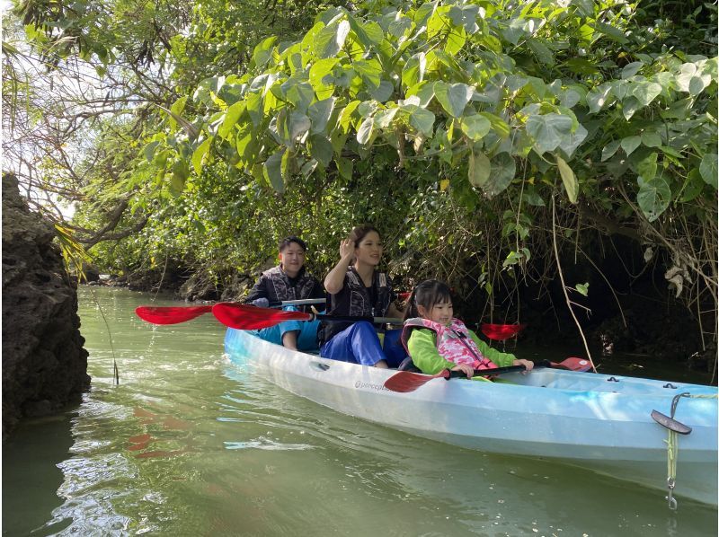 SALE《Mangrove Kayaking》Reservations accepted on the day★ Beginners are welcome! Enjoy a comfortable time in a new facility! Hot showers and hair dryers available! Free photo data giftの紹介画像