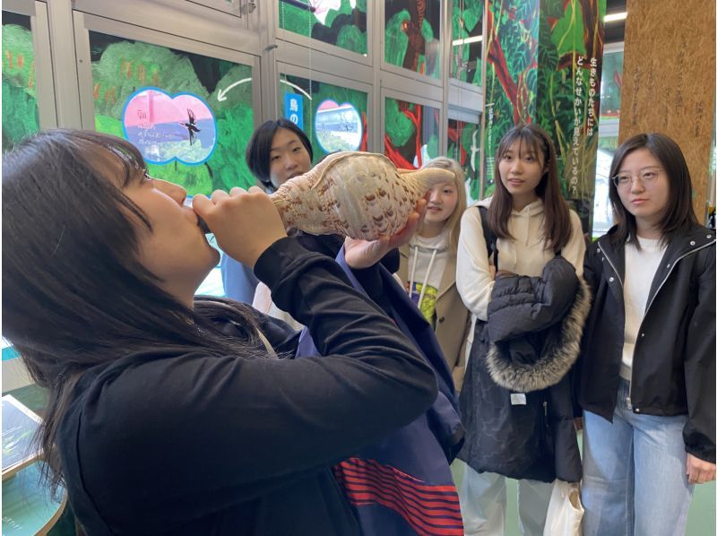 《マングローブカヤック》雨天催行！当日予約OK★初心者でも安心！新施設で快適時間！温水シャワー、ドライヤー完備！写真データ無料！の紹介画像