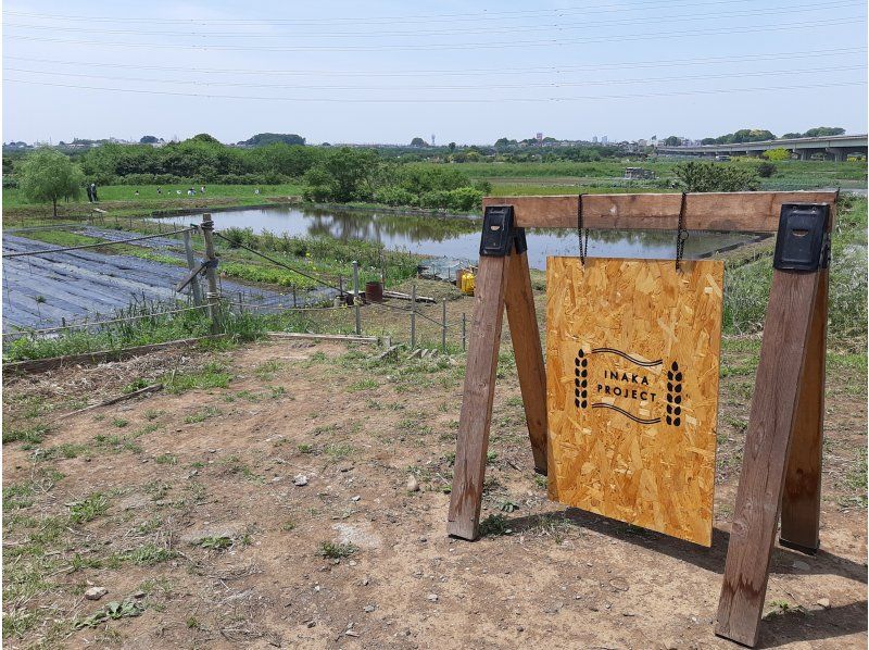 [Saitama City, Saitama Prefecture] Countryside that can be reached in an hour from the city center Noodles made from fresh wheat hunted this year !! [Ramen]の紹介画像