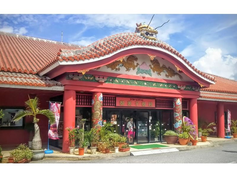 [From Naha/Chatan / with dinner] Churashima full-day sightseeing bus tour (C course) & Ryukyu dance appreciation included! "Urashima" Ryukyu cuisine where you can choose the course!の紹介画像