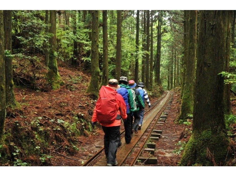 Yakushima aqua style แนะนำ