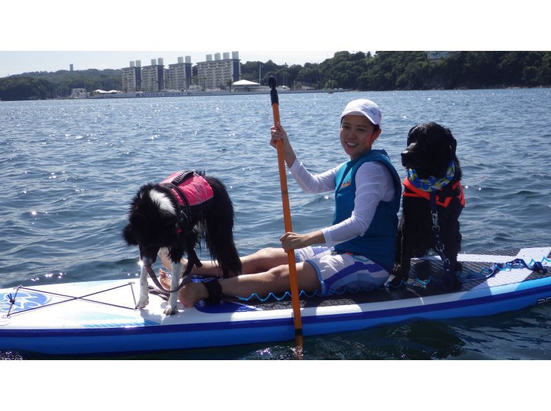 <Charter> One-on-one private "Dog SUP plan (about 2 hours)"の紹介画像