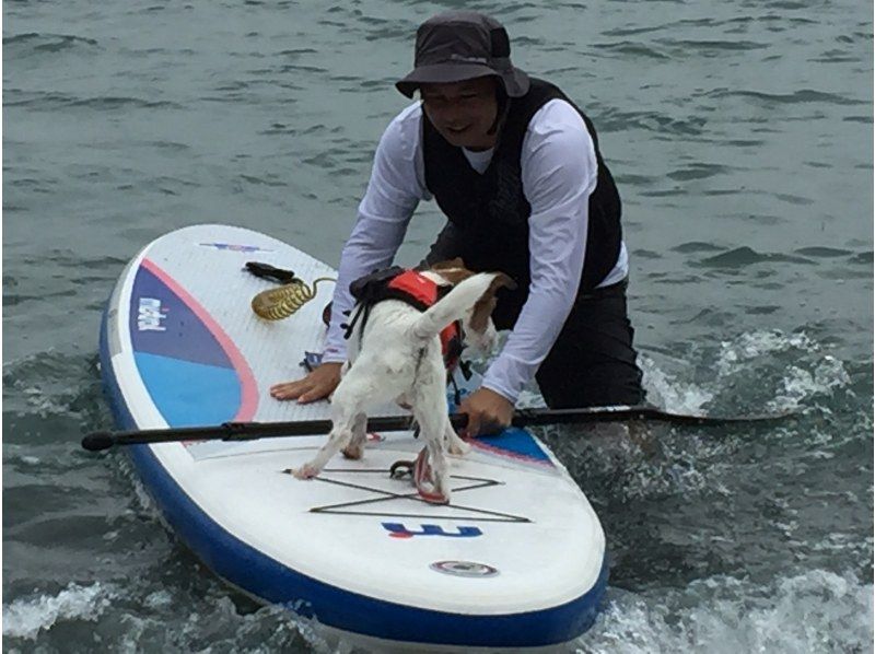<Charter> One-on-one private "Dog SUP plan (about 2 hours)"の紹介画像