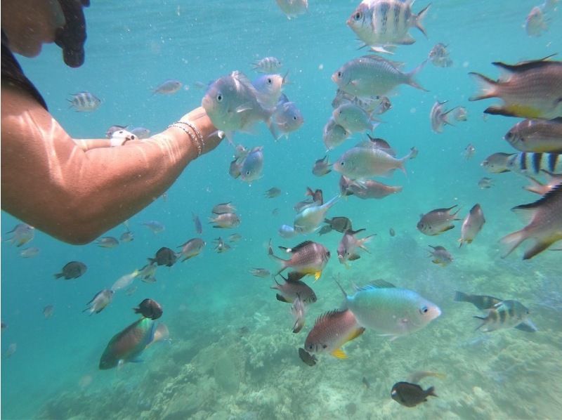 奄美大島【当日予約可能】シュノーケリング（60分）【GoPro水中撮影・ドローン空撮】★口コミ投稿で撮影データ無料プレゼント★の紹介画像