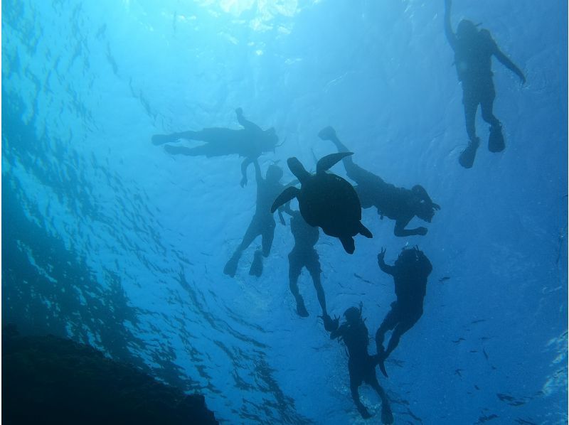 奄美大島【当日予約可能】シュノーケリング（60分）【GoPro水中撮影・ドローン空撮】★口コミ投稿で撮影データ無料プレゼント★の紹介画像