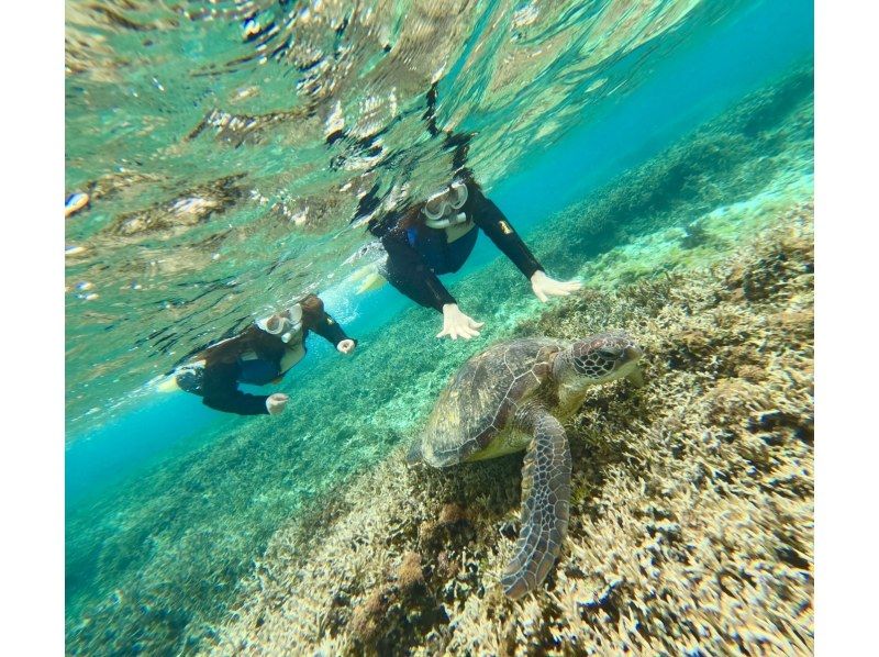 奄美大島【当日予約可能】シュノーケリング（60分）【GoPro水中撮影・ドローン空撮】★口コミ投稿で撮影データ無料プレゼント★の紹介画像