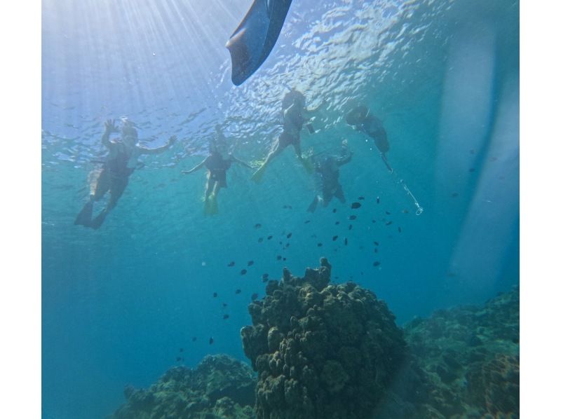奄美大島【当日予約可能】シュノーケリング（60分）【GoPro水中撮影・ドローン空撮】★口コミ投稿で撮影データ無料プレゼント★の紹介画像