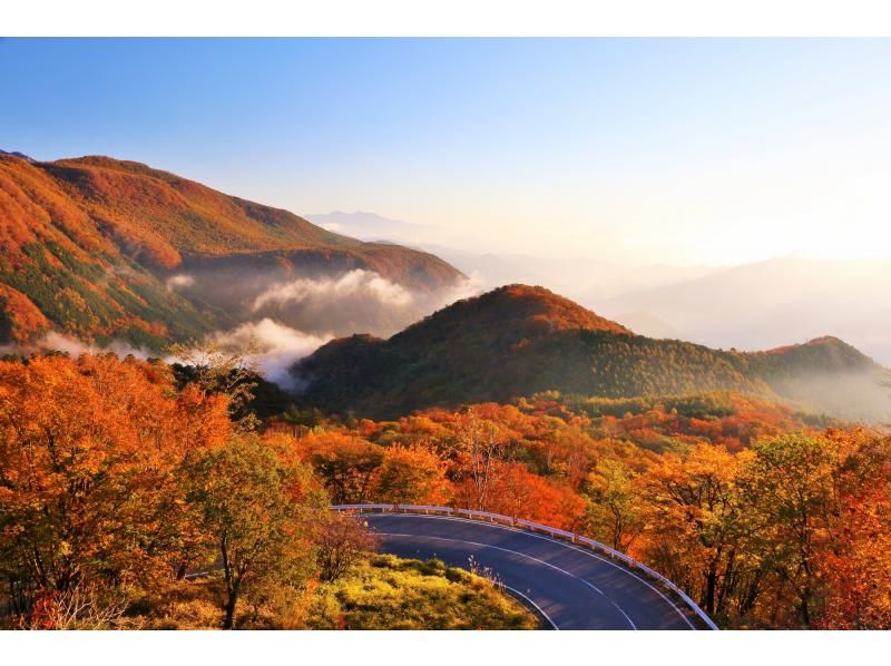 秋のTochigi・日光!紅葉の名所とおすすめアクティビティ・レジャー・体験・遊び3選!