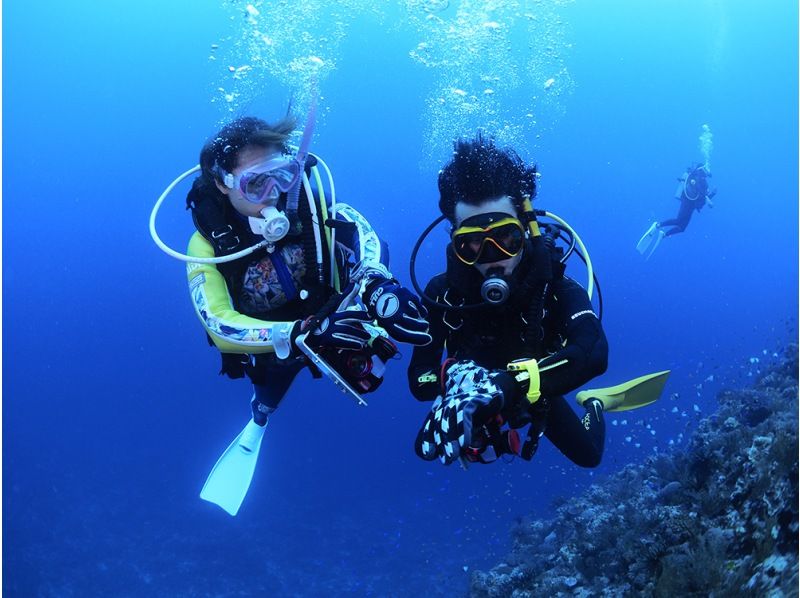 Osezaki diving tour popularity ranking & beginner recommended diving shop information