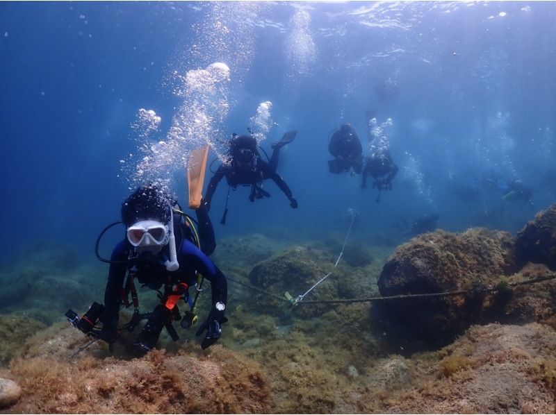 ★西伊豆★スクーバダイバーコース（2日間）PADI・Cカードを取得！の紹介画像