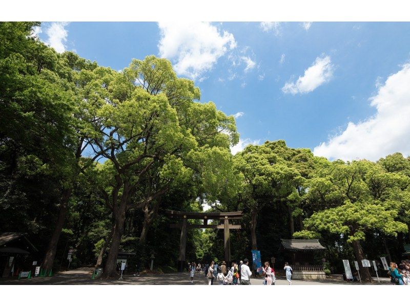 [Tokyo / Shinjuku] Shinjuku Station Meeting / Easy by Electric Bicycle / Meiji Jingu Tour Cycling Tour / OK from 10 years oldの紹介画像