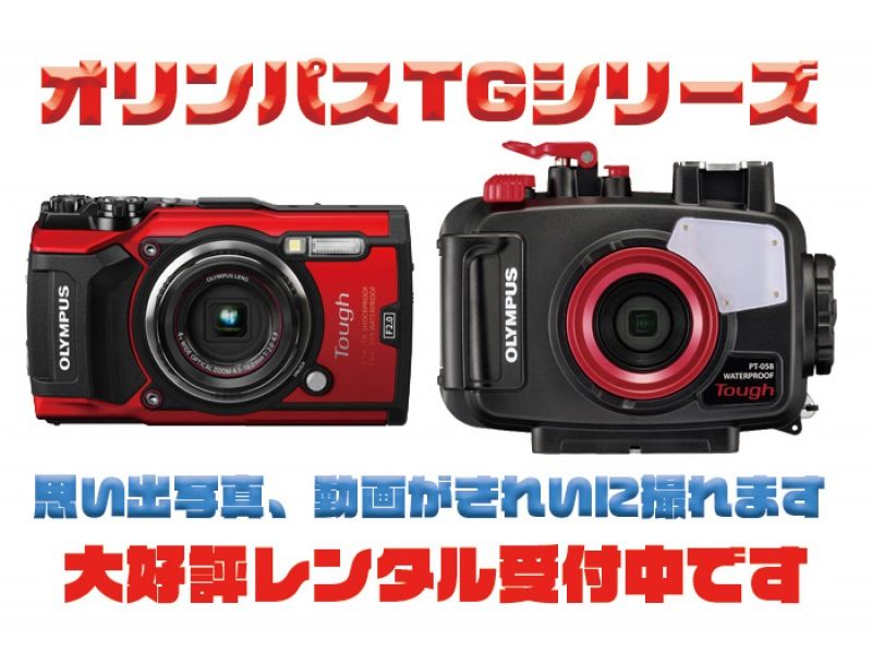 【冲绳蓝洞】适合初学者的乘船全脸面镜潜水体验の紹介画像