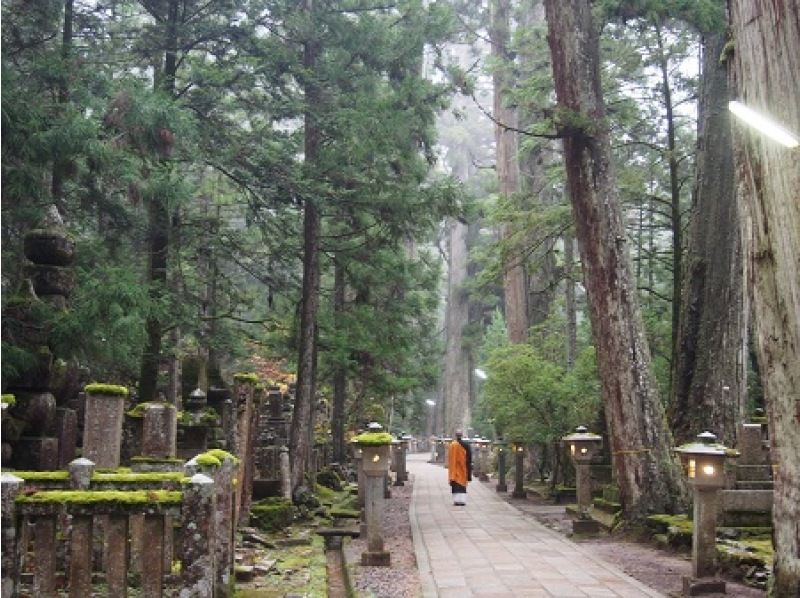 [和歌山/高野山]私人奥之院一日游！为什么不在清爽的早晨去奥之院参拜空海弘法大师呢？の紹介画像