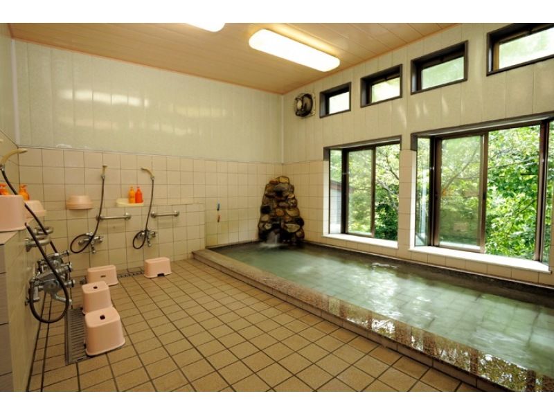 【大分・佐伯市】１組限定!【日帰り/♨️】春の新緑/藤河内渓谷の一枚岩沢歩き(昼食/ｺｰﾋｰ/おやつ付)【装備無料】の紹介画像