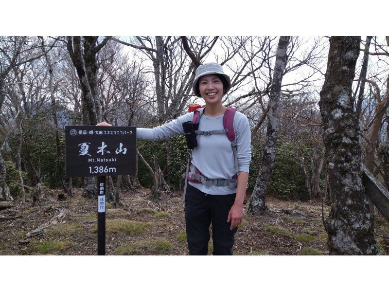 【大分・佐伯市】一組限定!「春の九州山地/夏木山1386m」【日帰り】アケボノツツジ観賞登山(弁当/温泉/コーヒー・おやつ付)