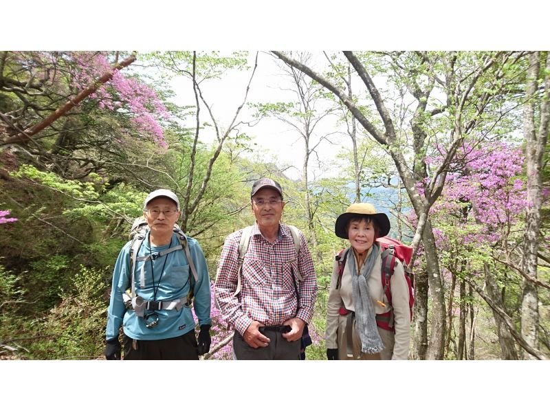 【大分・佐伯市】一組限定!「春の九州山地/夏木山1386m」【日帰り】アケボノツツジ観賞登山(弁当/温泉/コーヒー・おやつ付)