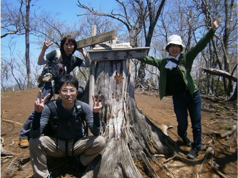 【大分・佐伯市】一組限定!「春の九州山地/夏木山1386m」【日帰り】アケボノツツジ観賞登山(弁当/温泉/コーヒー・おやつ付)