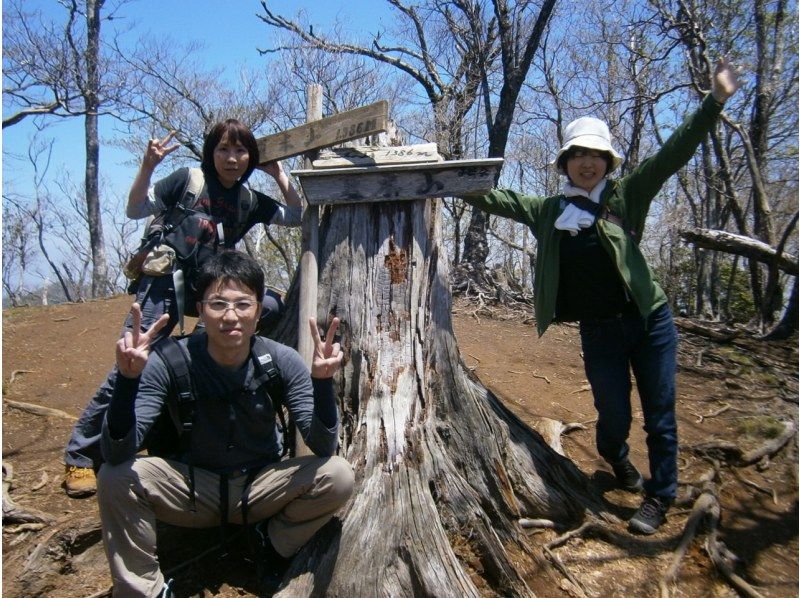 【大分・佐伯市】1組限定「九州百名山/夏木山1386mｱｹﾎﾞﾉﾂﾂｼﾞ観賞登山」【日帰り♨️有】(弁当/ｺｰﾋｰ/おやつ付)【子供参加可】の紹介画像