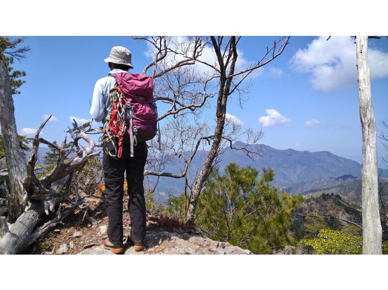 【大分・佐伯市】1組限定「九州百名山/夏木山1386mｱｹﾎﾞﾉﾂﾂｼﾞ観賞登山」【日帰り♨️有】(弁当/ｺｰﾋｰ/おやつ付)【子供参加可】の紹介画像