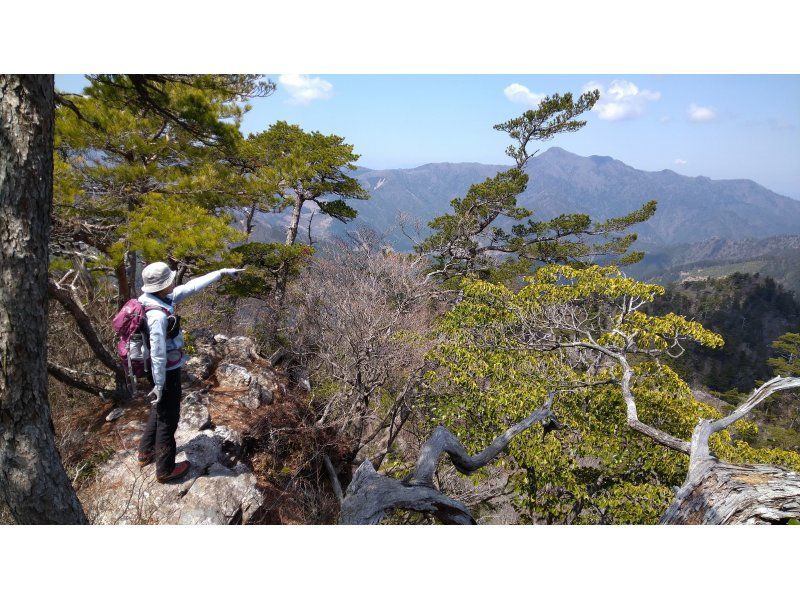 【大分・佐伯市】1組限定「九州百名山/夏木山1386mｱｹﾎﾞﾉﾂﾂｼﾞ観賞登山」【日帰り♨️有】(弁当/ｺｰﾋｰ/おやつ付)【子供参加可】の紹介画像