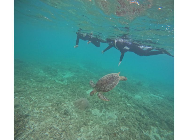 奄美大島【当日予約可能】ジェットツーリング（60分）★シュノーケリング付★※口コミ投稿で撮影データの無料プレゼントあり※の紹介画像