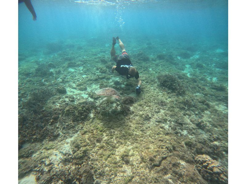 奄美大島【当日予約可能】ジェットツーリング（60分）★シュノーケリング付★※口コミ投稿で撮影データの無料プレゼントあり※の紹介画像