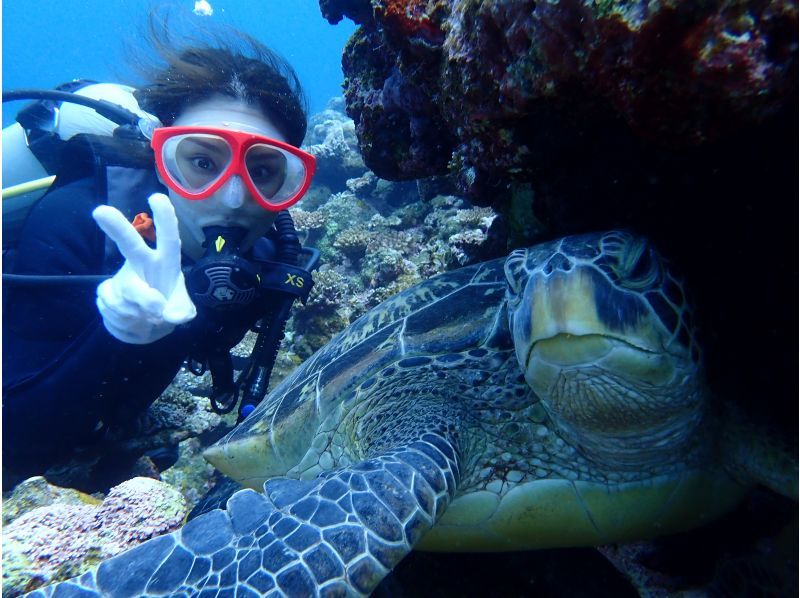 [Okinawa / Ishigaki Island] A guide with 20 years of experience as an instructor will introduce online how to enjoy diving and snorkeling on Ishigaki Island 10 times! !!の紹介画像