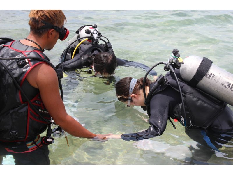 スプリングキャンペーン到着当日から参加可能【沖縄・本島】ダイビングライセンス取得！最短1.5日オープンウォーターコース★の紹介画像