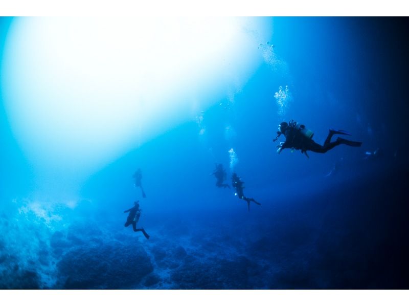 [From Yokohama] [Nishiizu/Koganezaki/Osezaki] Recommended for customers who have just obtained their license and have little experience! 2 beach fun divingの紹介画像