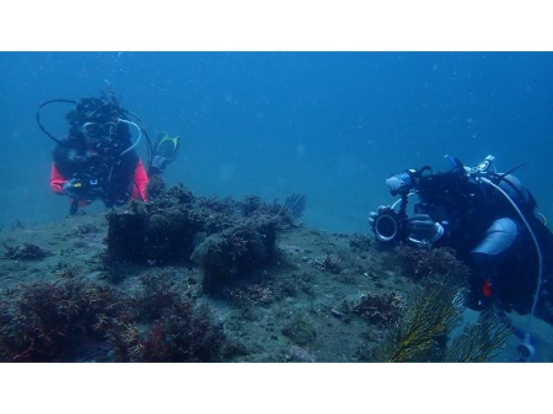 [From Yokohama] [Nishiizu/Koganezaki/Osezaki] Recommended for customers who have just obtained their license and have little experience! 2 beach fun divingの紹介画像