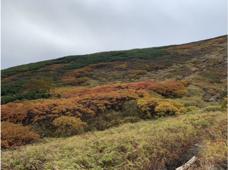 北海道 コレクション 赤岳 靴