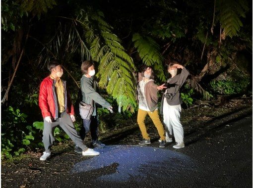 奄美の夜は 世界遺産 東洋のガラパゴスで 原生林ジャングルナイトツアー 野生生物見学体験 アクティビティジャパン 奄美の夜は 世界遺産 東洋のガラパゴスで 原生林ジャングルナイトツアー 野生生物見学体験 アクティビティジャパン