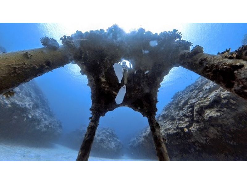 【鹿児島・与論島】海中宮殿でシュノーケル＆スキンダイビング！潜ると幸せになれるの天井を目指そう♫ニモ・ウミガメ探し・珊瑚の庭園全部入って満腹の紹介画像