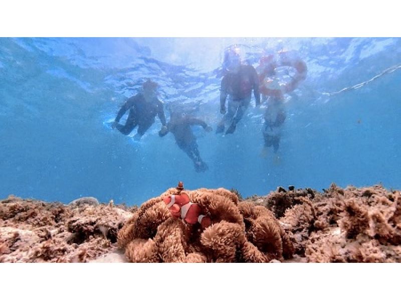 [Kagoshima / Yoron Island] Snorkel and skin diving at the underwater palace! Let's aim for a ceiling that makes you happy when you dive ♫ Nemo, sea turtle search, coral garden Fully filledの紹介画像