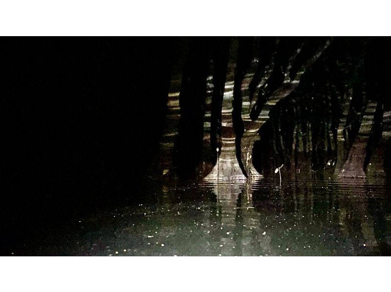 【鹿児島・奄美大島】夜のマングローブを探検！夜のマングローブカヤックツアー★貸切可★の紹介画像
