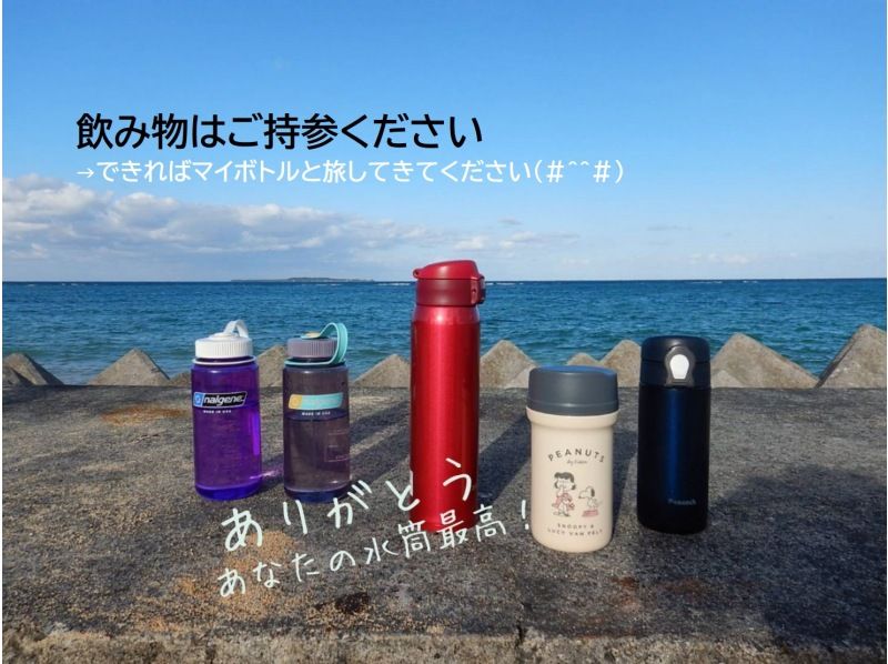 セール実施中【沖縄・西表島】《お得なオンライン限定午後割！》PM出発でピナイサーラの滝壺　カヌー&トレッキングPMツアー！の紹介画像