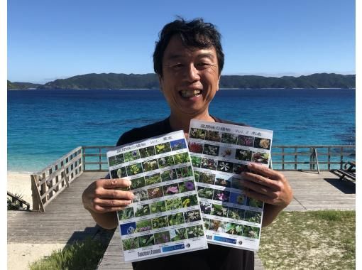 慶良間諸島・座間味島】バードウォッチング。一年中いる野鳥やある季節